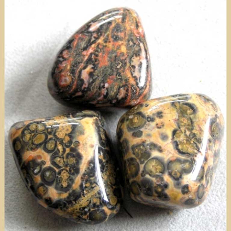 Trommelstein Leopardenjaspis Jaspis - Goldgottlieb